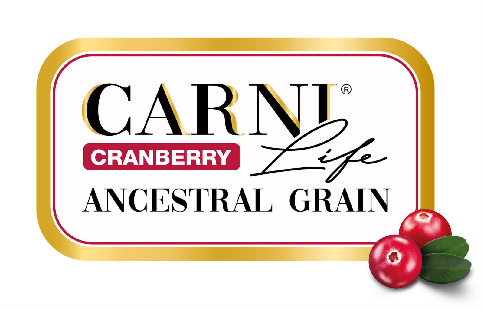 CARNI LIFE