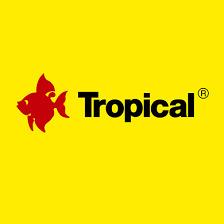 TROPICAL