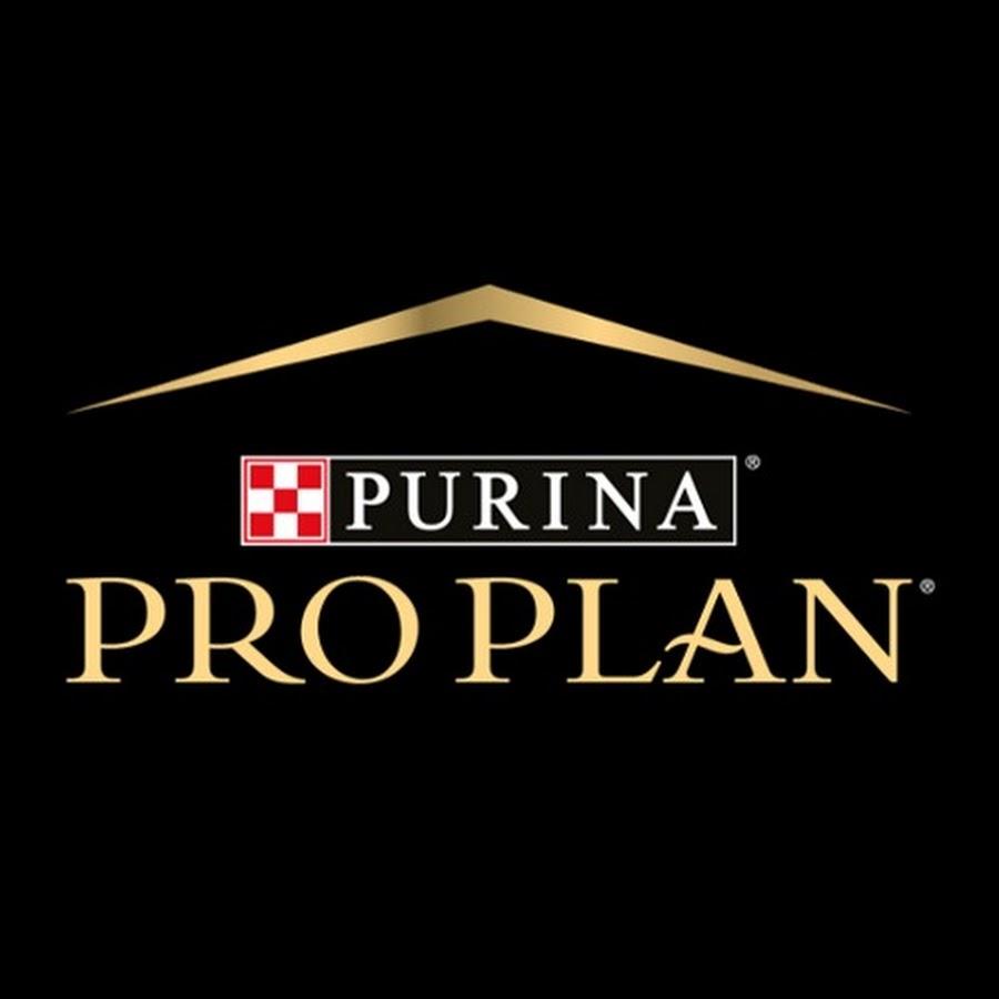 PRO PLAN