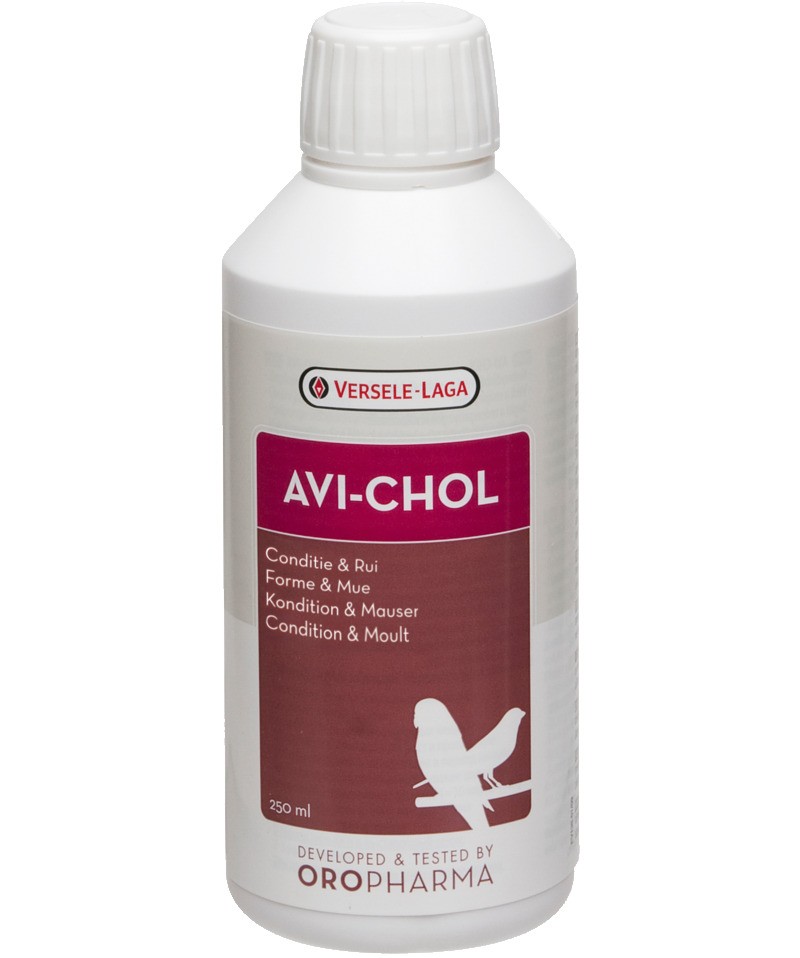 Versele Laga Oropharma Avi-Chol Karaciğer Sağlığı Koruyucu Kuş Vitamini 250 Ml 5410340602249