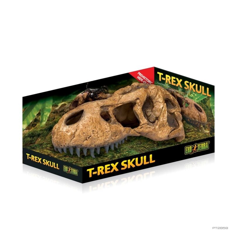 Exo Terra T - Rex Skull Dinazor Kafa Tası Şekilli Sürüngen Yuvası 015561228596