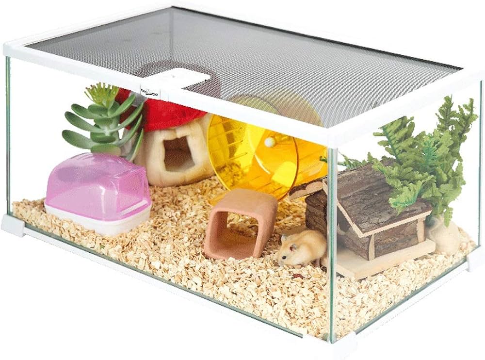 Hamster Talaşı Nedir? Ne İşe Yarar?