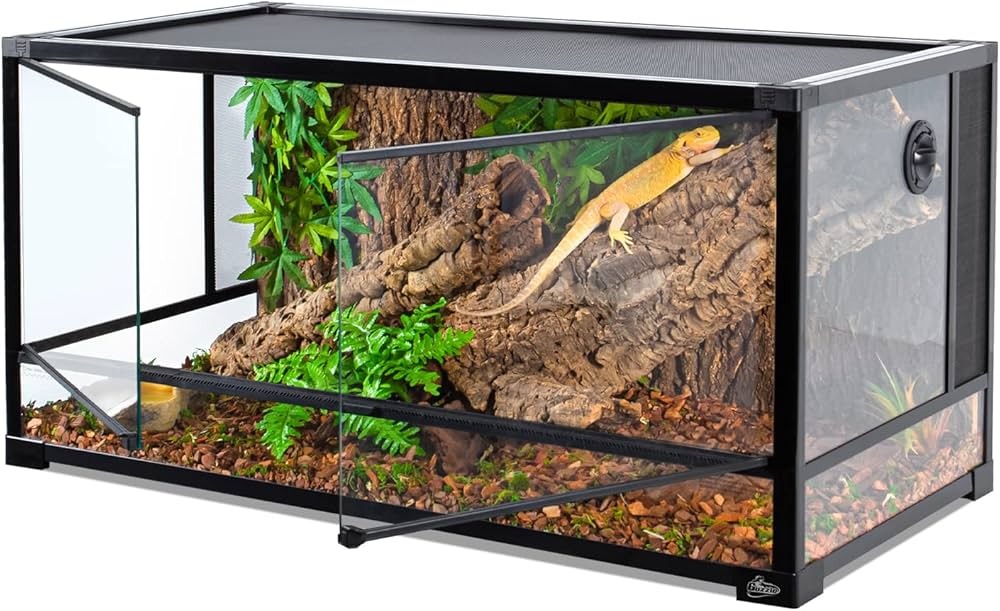 Sürüngenlerde Sessiz Dehidrasyon Nedir ve Nasıl Önüne Geçilir?