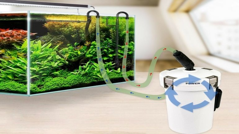 Akvaryum Dış Filtre Seçimi Nasıl Yapılır?