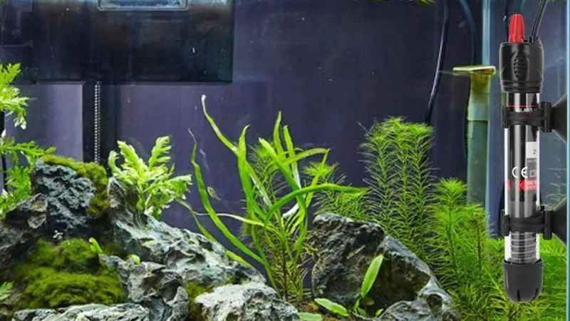 Akvaryum Isıtıcı Seçimi Nasıl Yapılır?