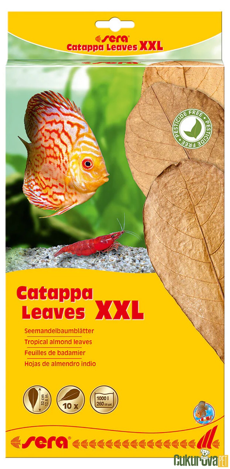 Sera Catappa Yaprağı Xxl - 32 Cm - 10'lu Paket