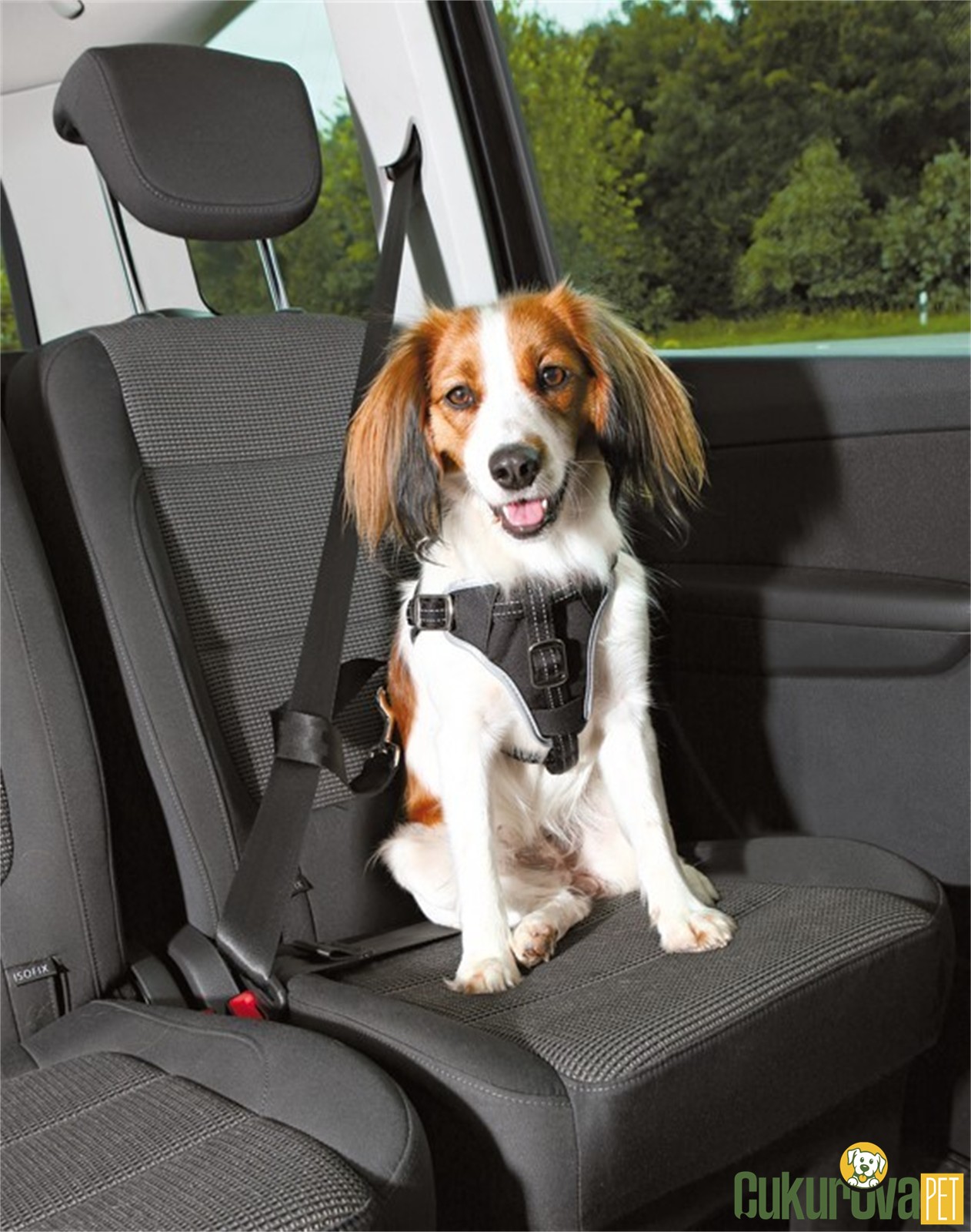 Trixie Köpek Emni̇yet Kemeri̇ Ve Göğüs Tasması 50 x 65 Cm x 20 Mm - Si̇yah