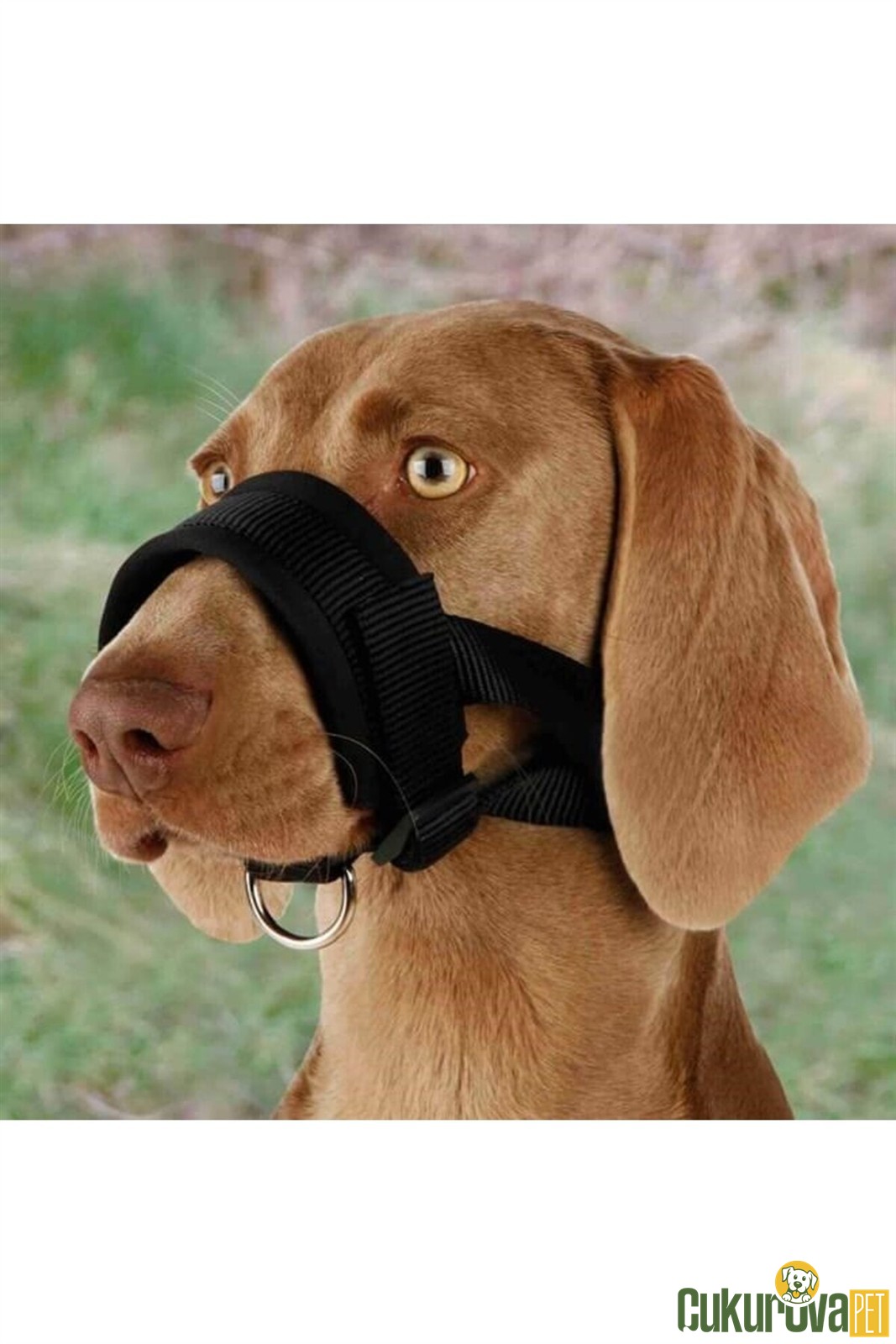 Trixie Köpek Ağızlığı Dauna - Xxl