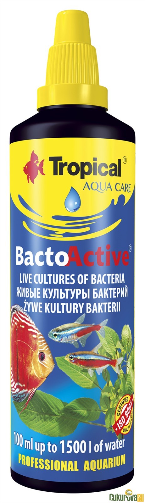 Tropical BactoActive Bakteri Başlatıcı Su Düzenleyici 100 Ml