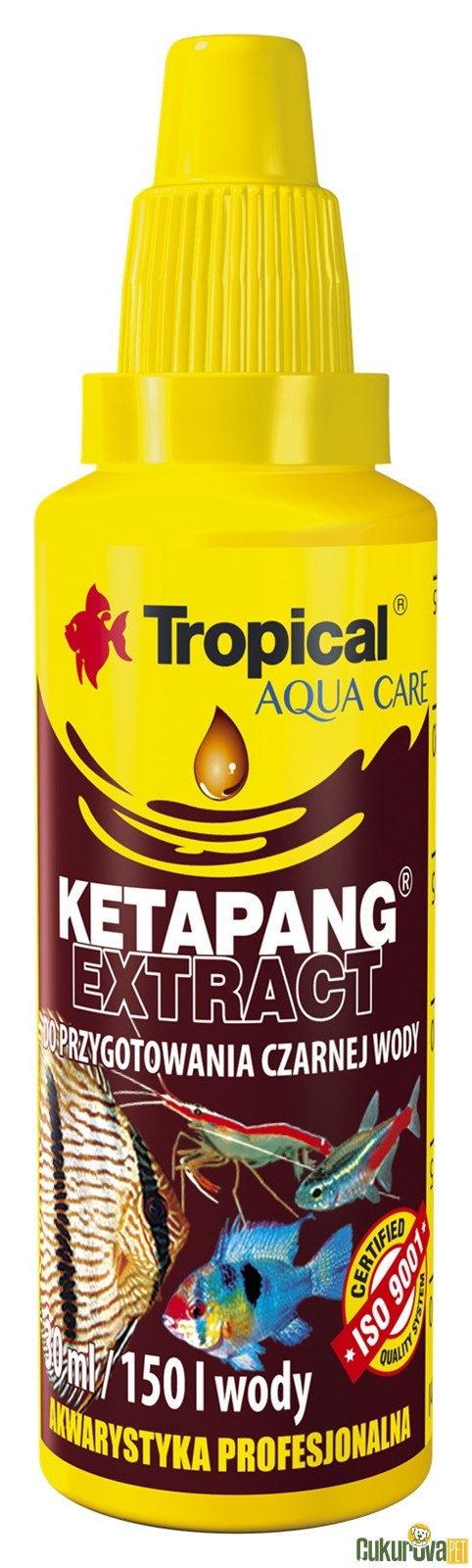 Tropical Ketapang Extract Su Düzenleyici 30 Ml