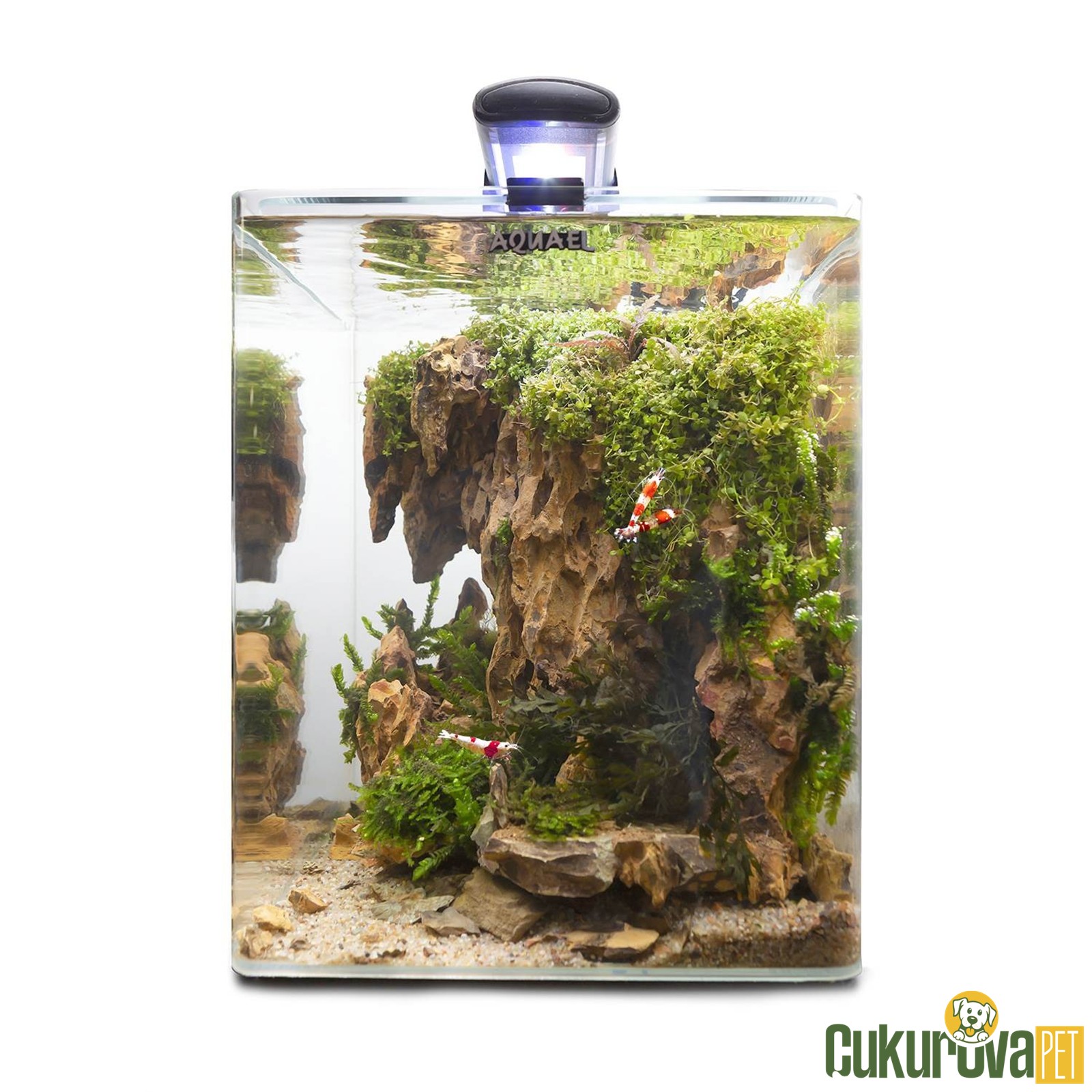 Aquael Optibent Set 70 Akvaryum 68 L - Siyah