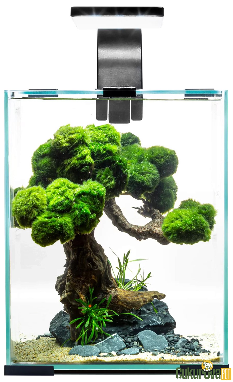 Aquael Shrimp Set Day And Night 10 Kari̇des Akvaryumu 10 L - Si̇yah