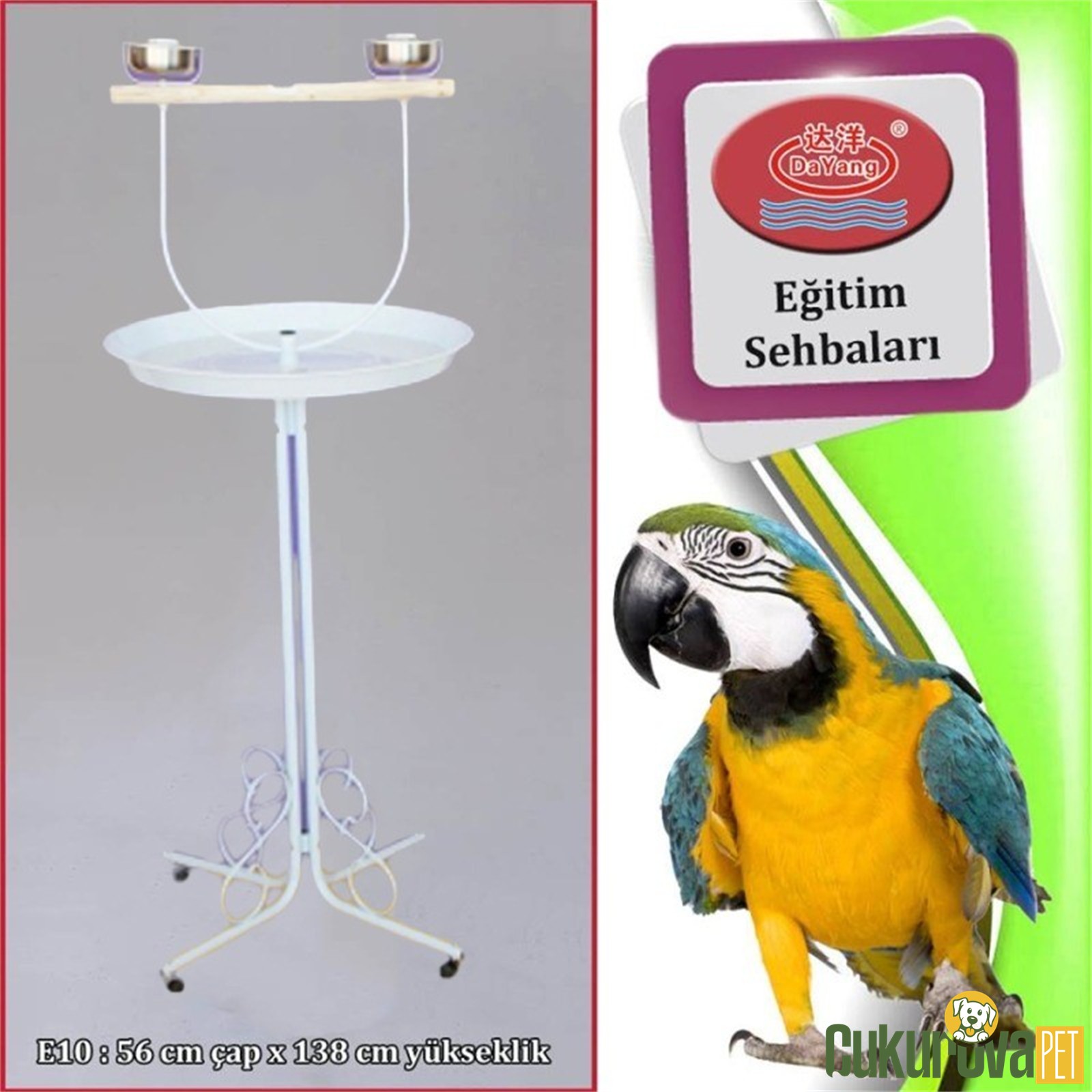 Dayang Papağan Eğitim Sehbası Beyaz - 56 x 138 Cm