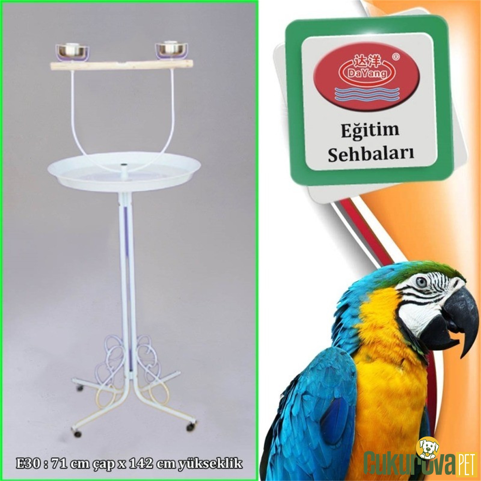 Dayang Papağan Eğitim Sehbası Beyaz - 70 x 145 Cm