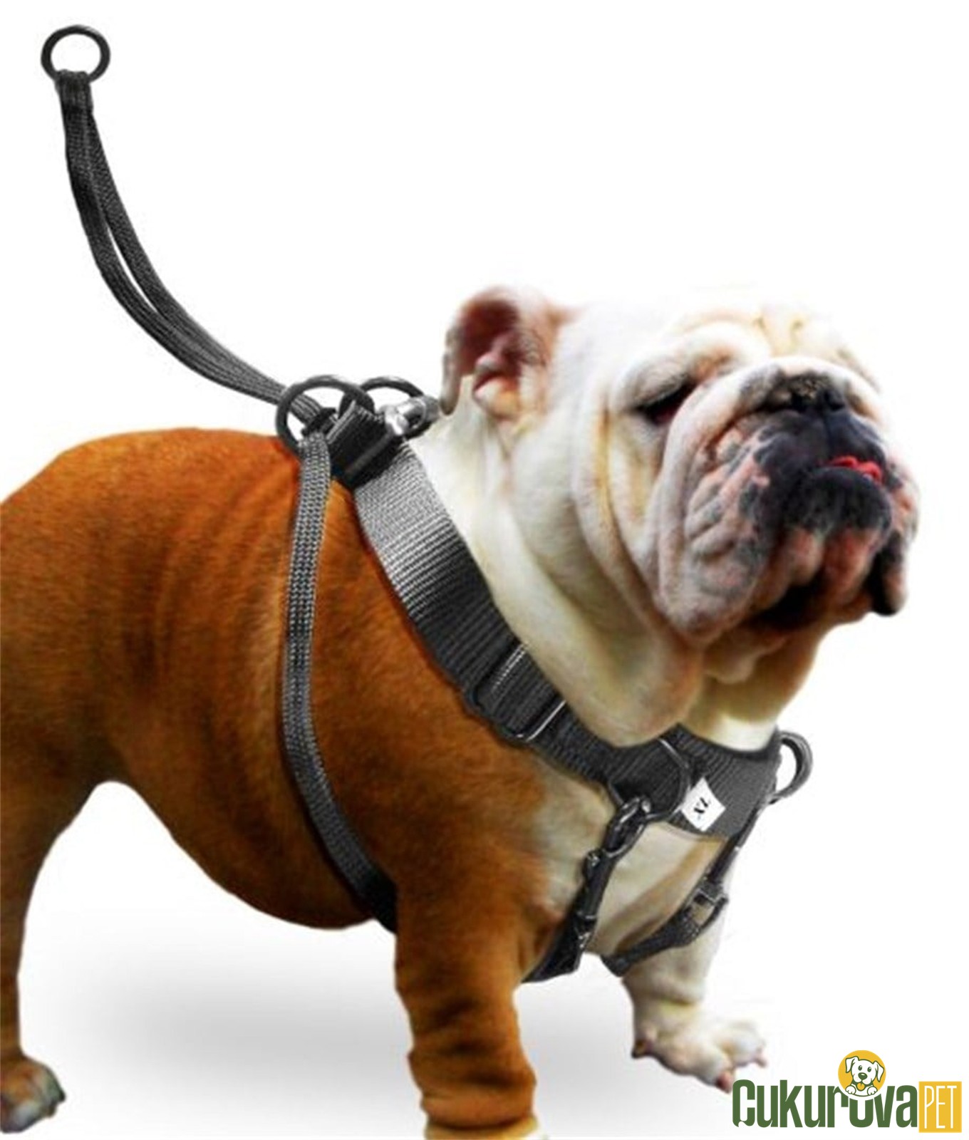 Karlie Easy Walker Köpek Göğüs Tasması Xl - 52 x 84 Cm