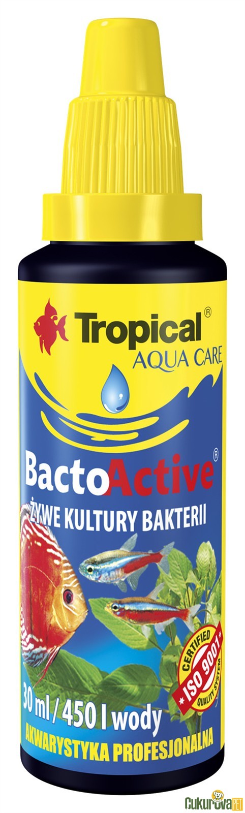 Tropical BactoActive Bakteri Kültürü 30 Ml
