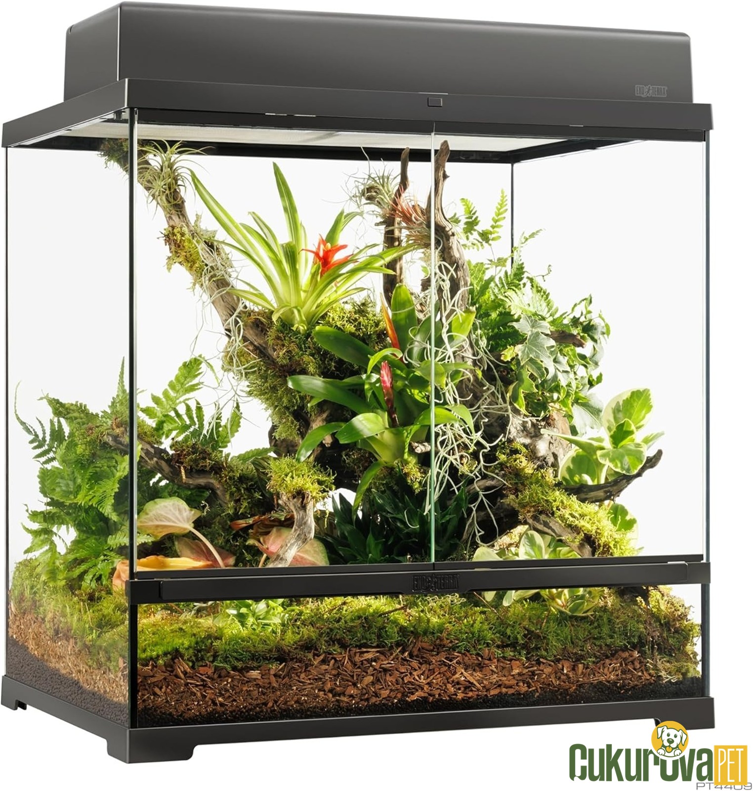 Exo Terra Pro Terrarium M Tall - 60 x 45 x 60 Cm