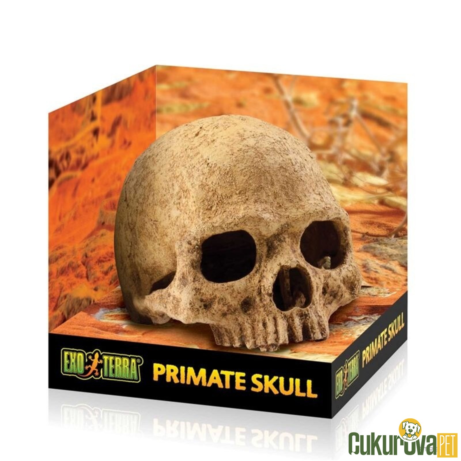 Exo Terra Primate Skull Kafa Tası Şekilli Sürüngen Yuvası