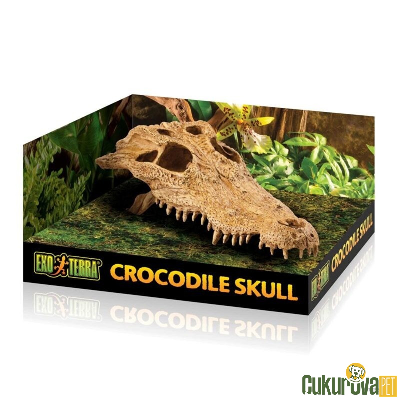 Exo Terra Crocodile Skull Timsah Kafa Tası Şekilli Yuva