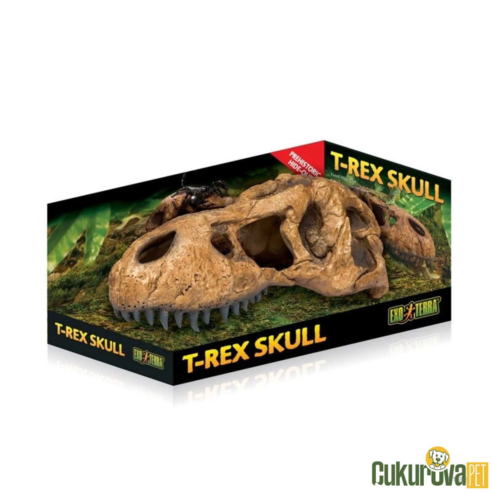 Exo Terra T - Rex Skull Dinazor Kafa Tası Şekilli Sürüngen Yuvası
