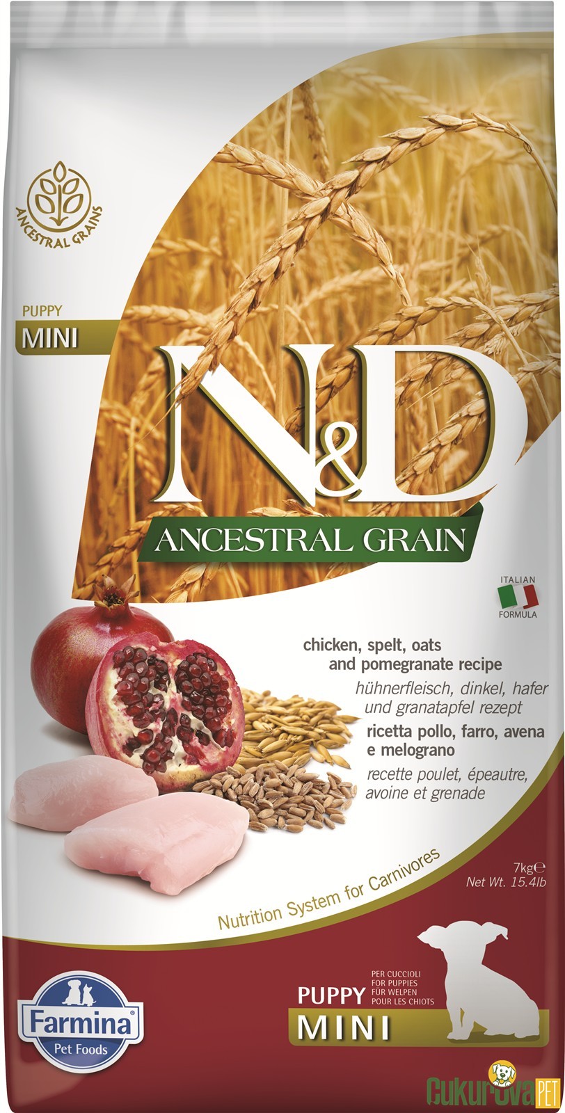 N&D Ancestral Grain Puppy Mini Tavuklu Ve Narlı Yavru Köpek Maması 7 Kg
