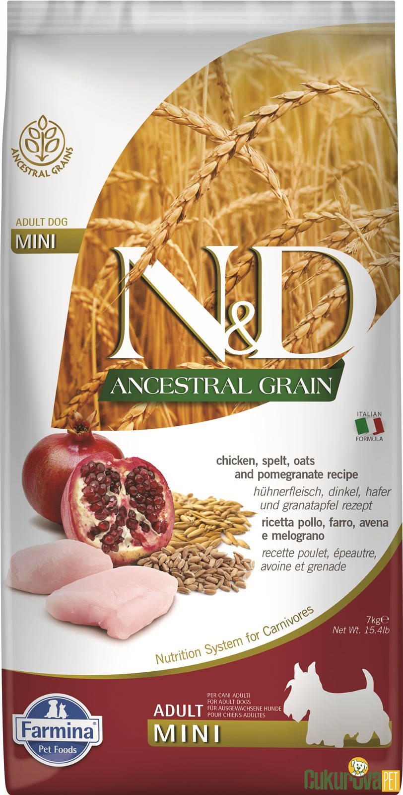 N&D Ancestral Grain Adult Mini Tavuklu Ve Narlı Yetişkin Köpek Maması 7 Kg