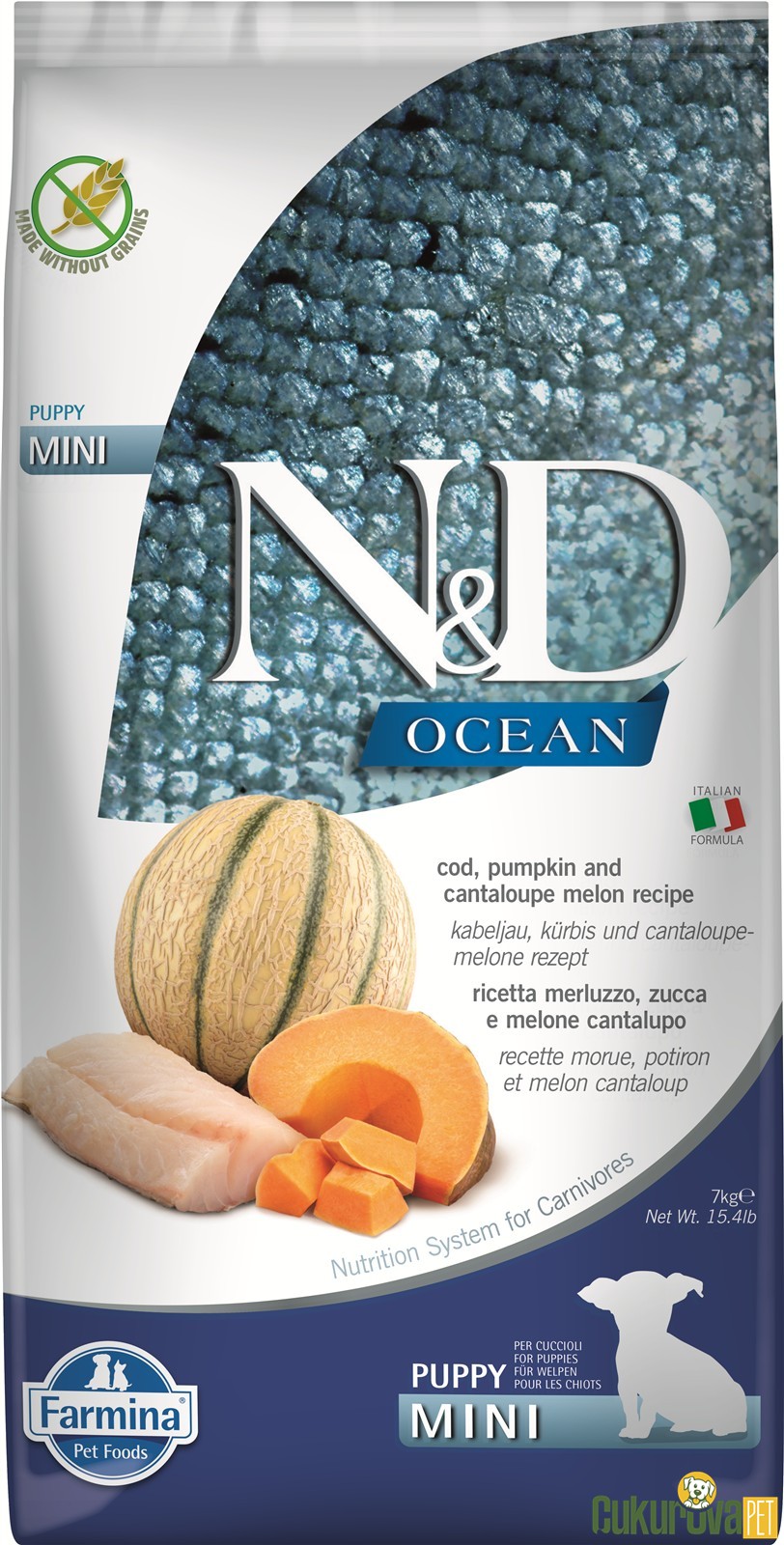 N&D Ocean Puppy Mini Morina Balıklı Balkabaklı Ve Kavunlu Yavru Köpek Maması 7 Kg