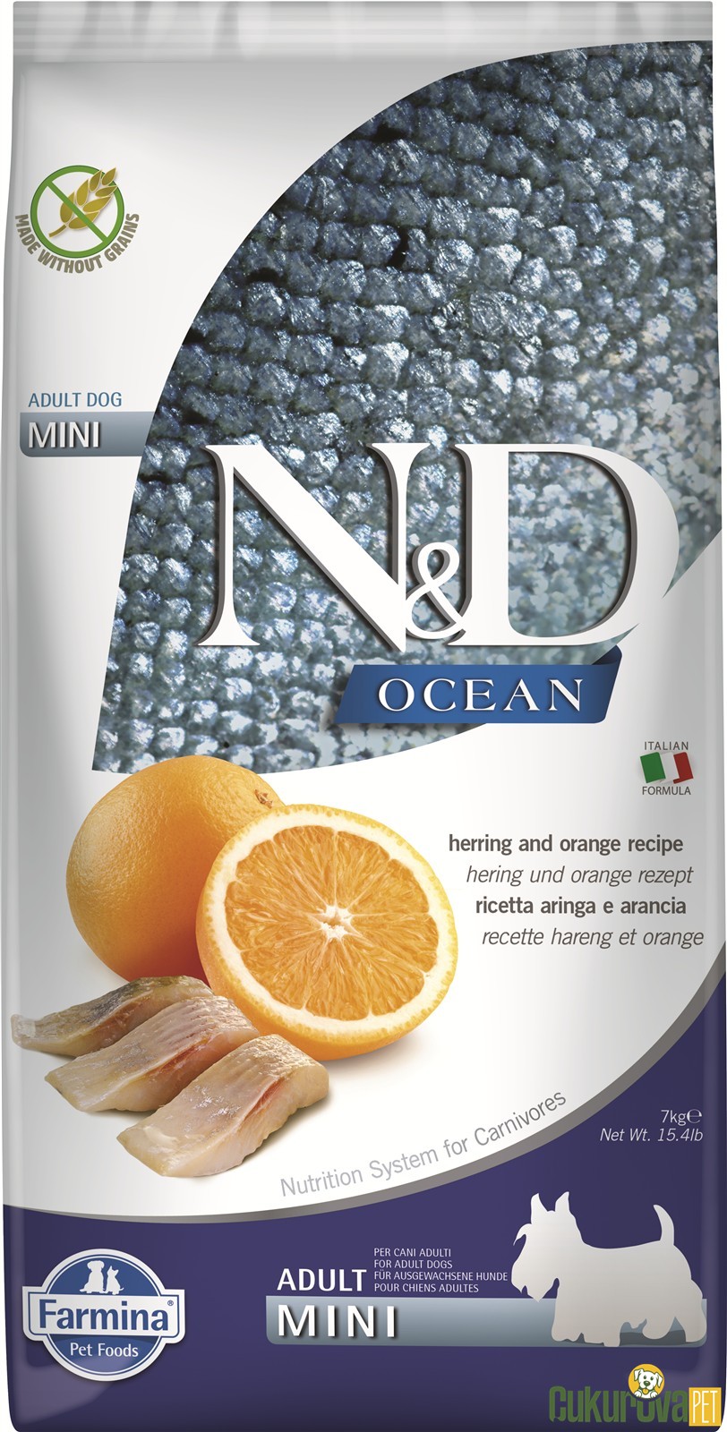 N&D Ocean Adult Mini Ringa Balıklı Ve Portakallı Yetişkin Köpek Maması 7 Kg