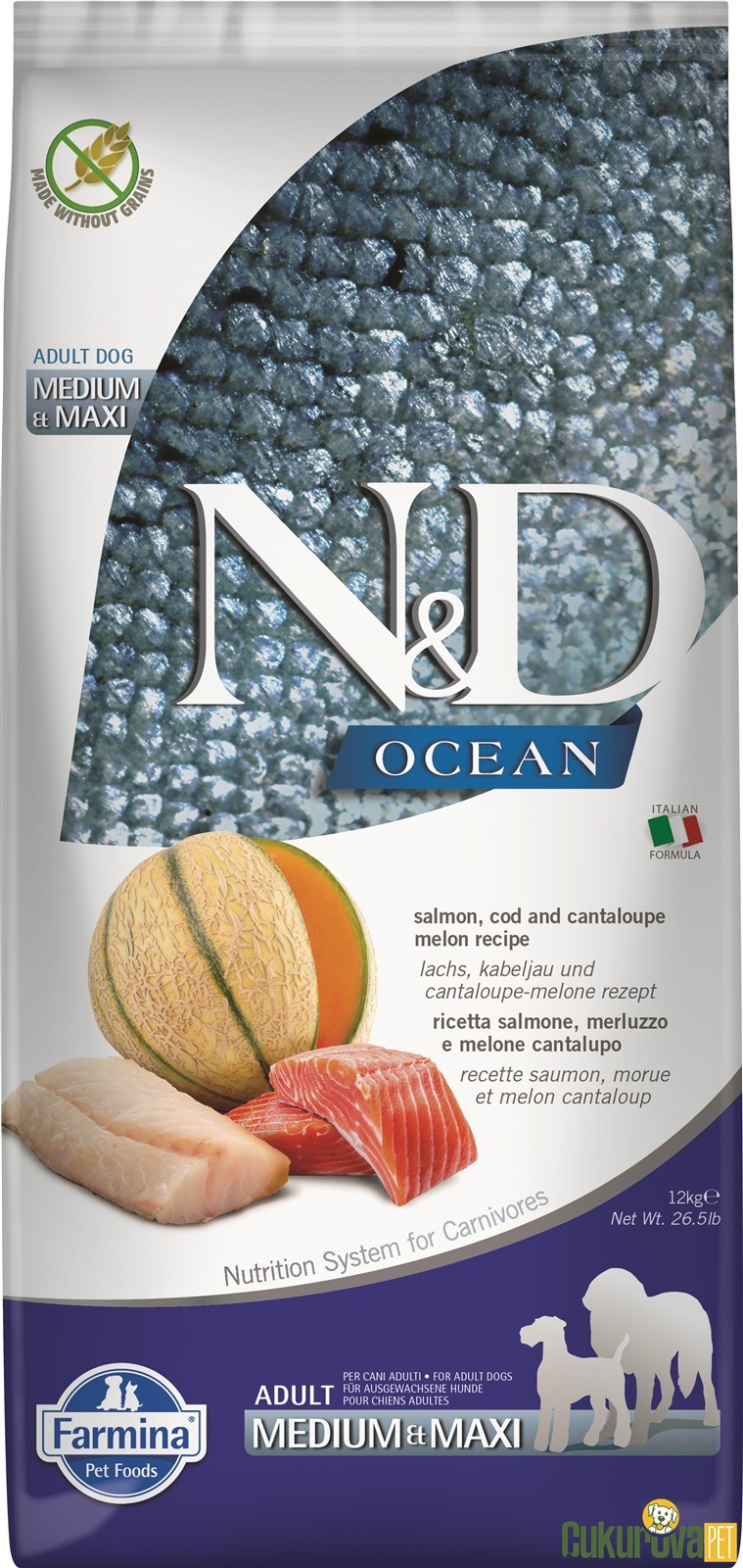 N&D Ocean Adult Medium&Maxi Somonlu Ve Morina Balıklı Kavunlu Yetişkin Köpek Maması 12 Kg