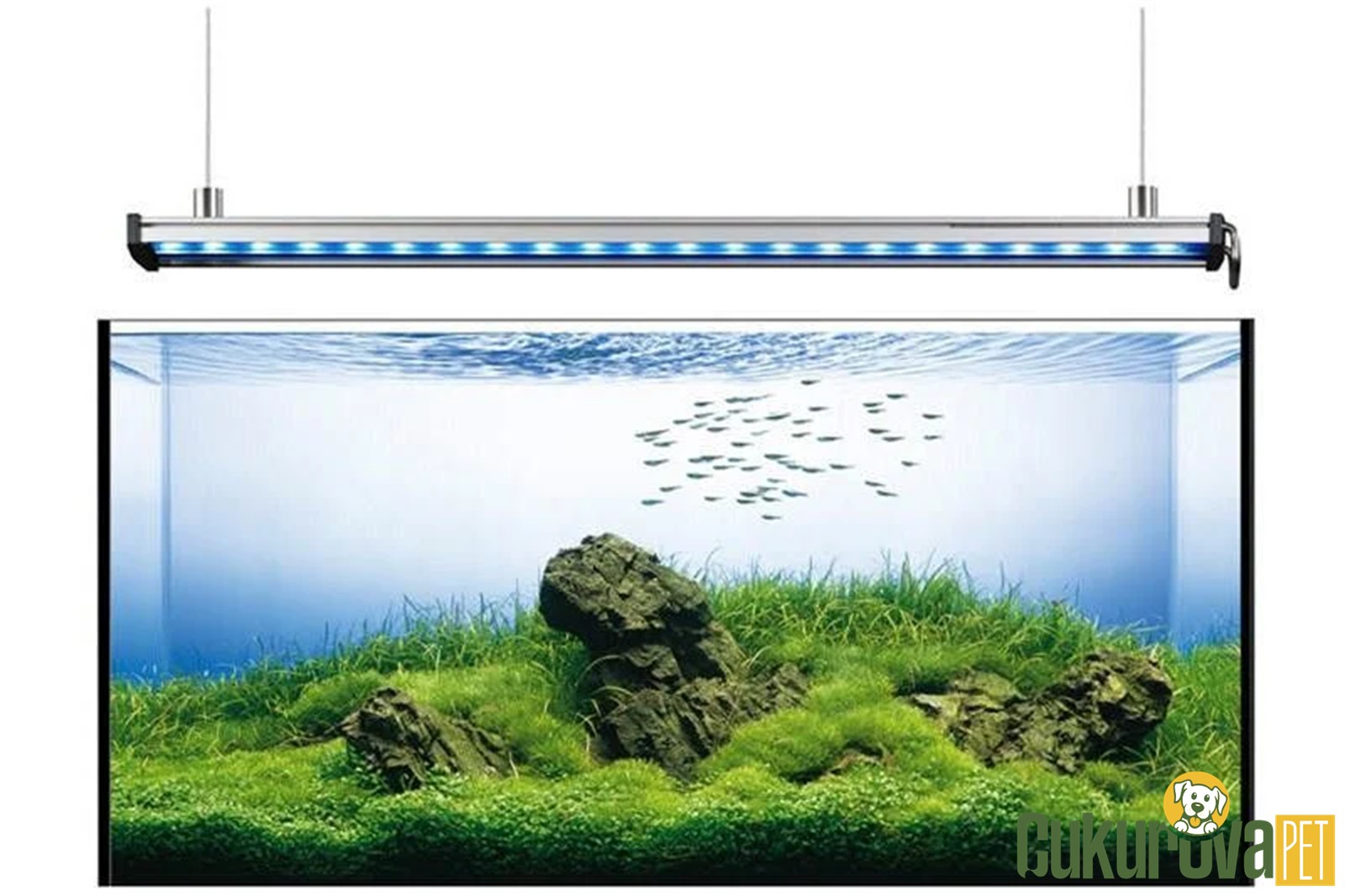 Eheim Power Led Askı Aparatı Akvaryum Aydınlatma Aksesuarı