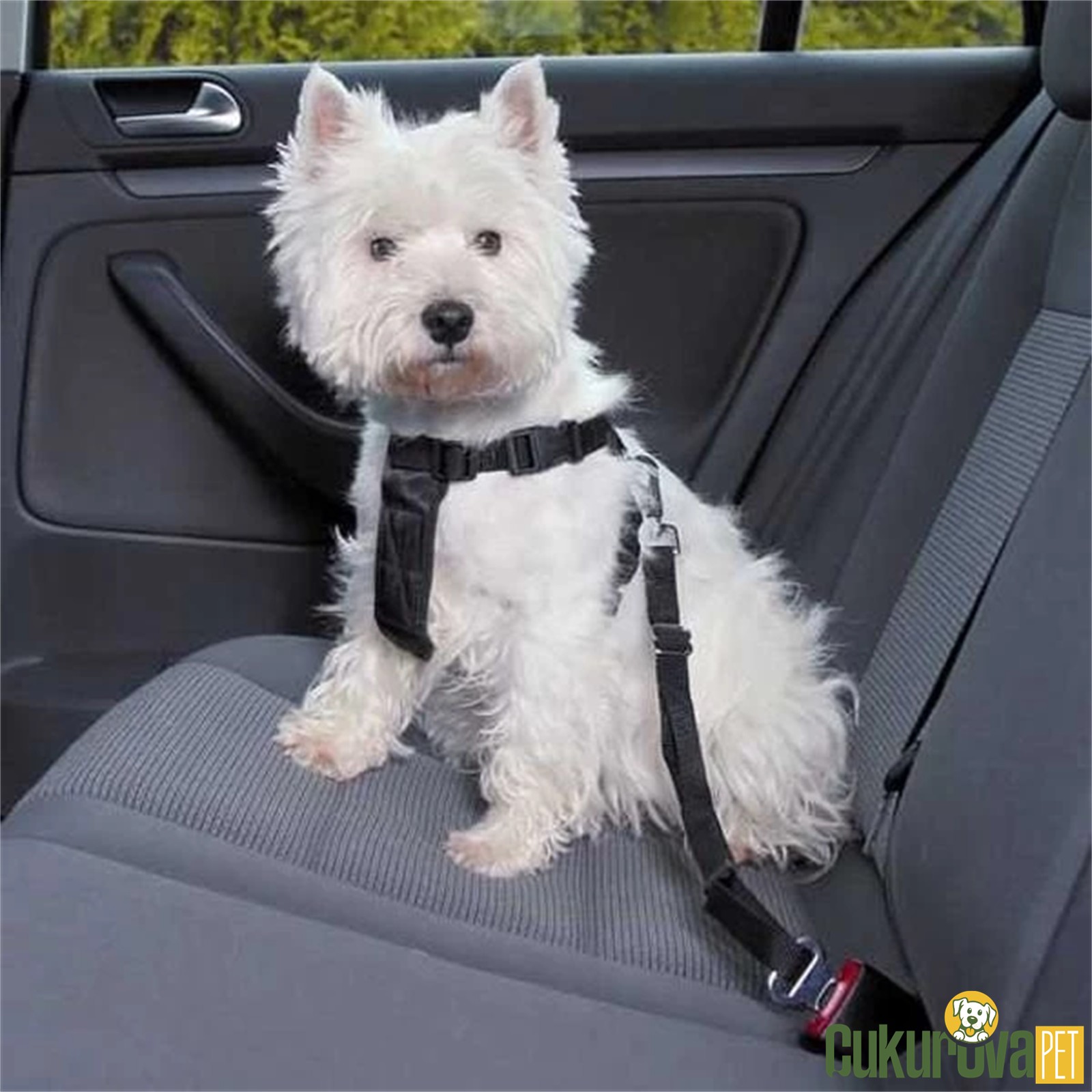 Trixie Köpek Emni̇yet Kemeri̇ Xs - 20 - 50 Cm