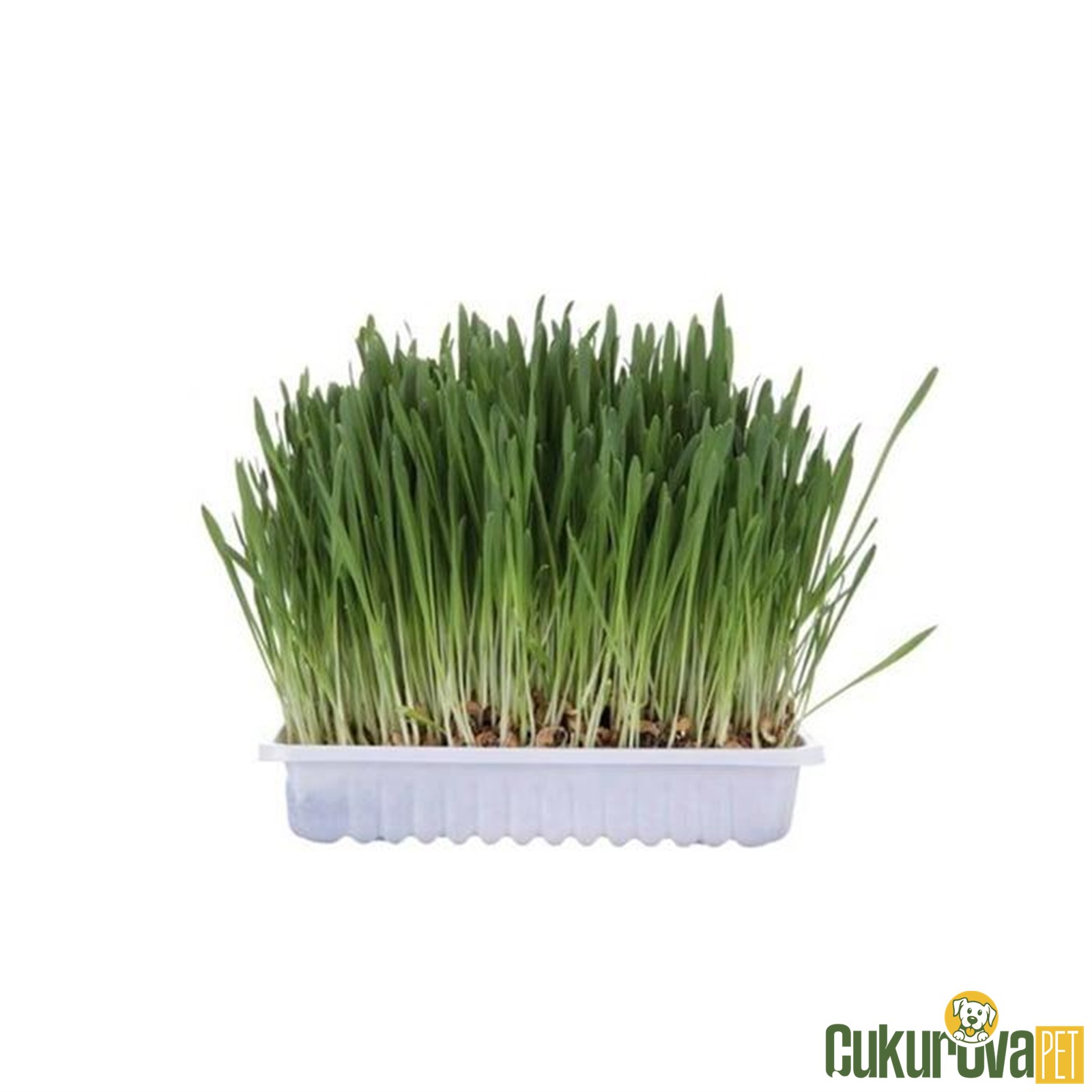 Trixie Kedi̇ Çi̇mi̇ 100 Gr