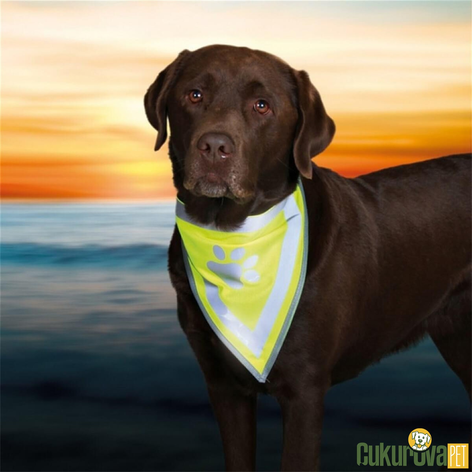 Trixie Polyester Fosforlu Köpek Bandanası L - Xl - 42 - 60 Cm