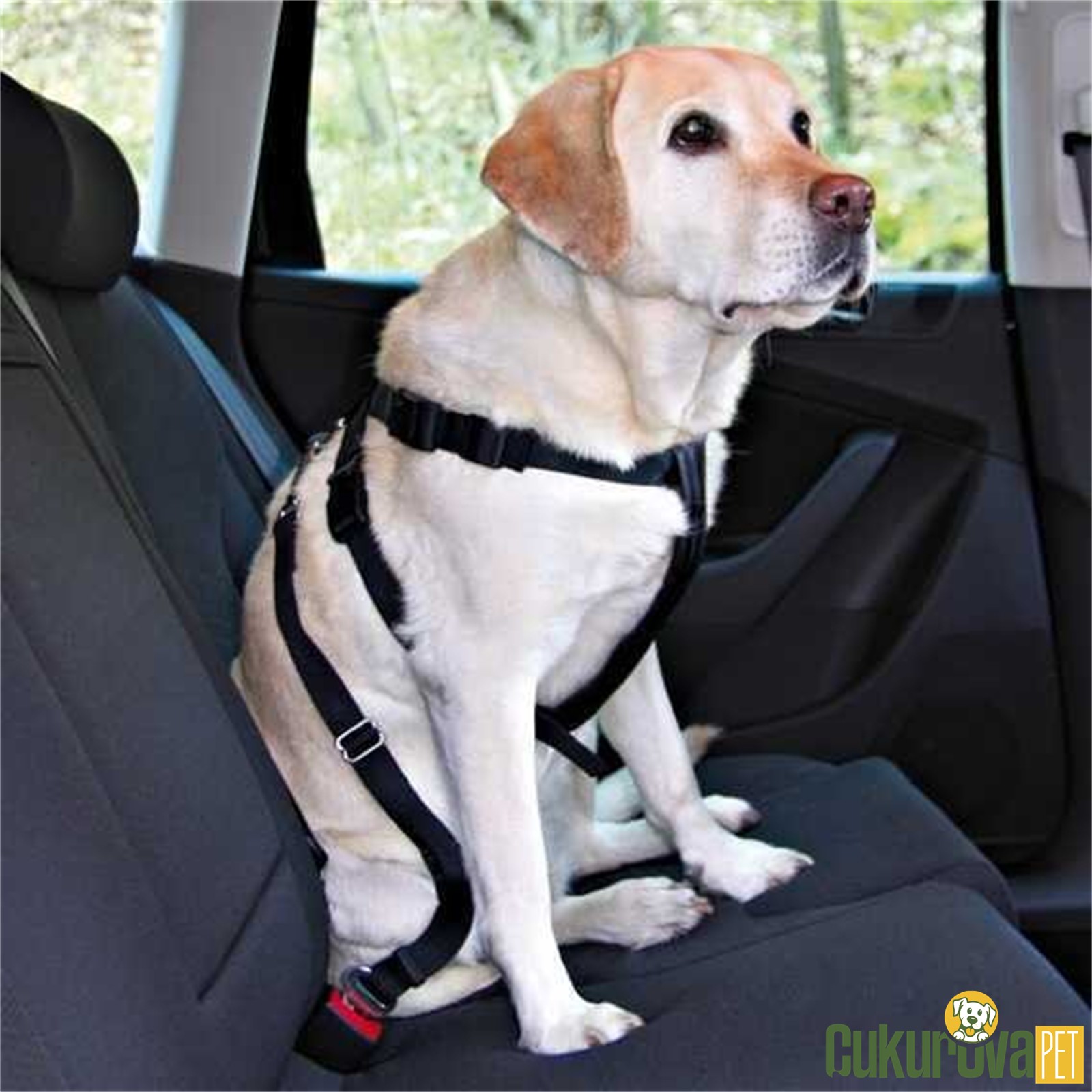 Trixie Köpek Emni̇yet Kemeri̇ M- 50 - 70 Cm