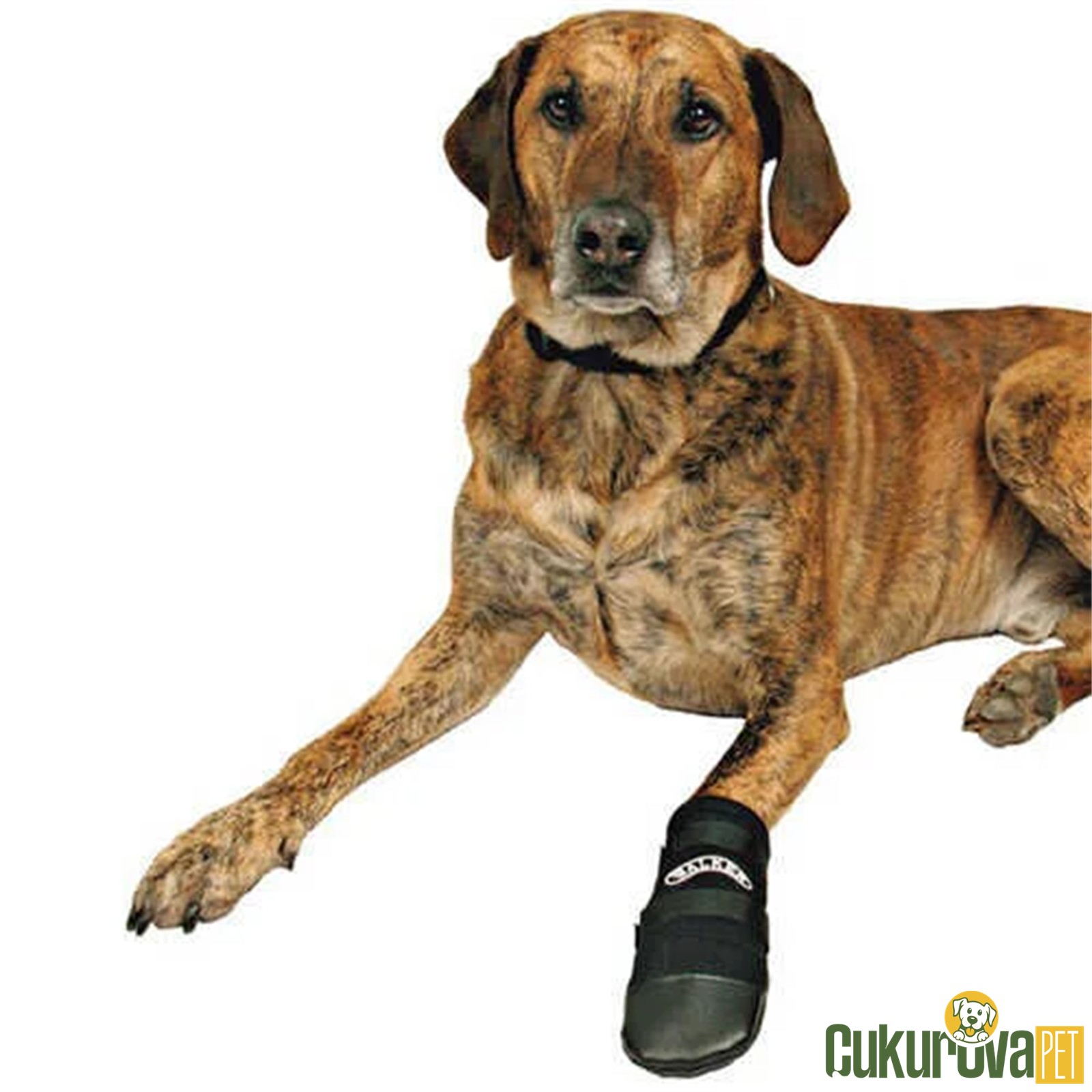 Trixie Neopren Köpek Pati̇ği̇ 2'li̇ L - Si̇yah