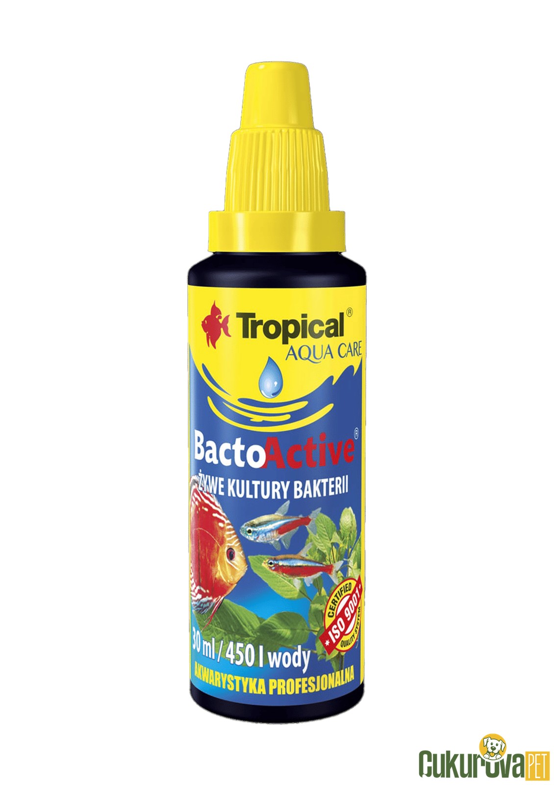 Tropical Bacto Active 100 Ml