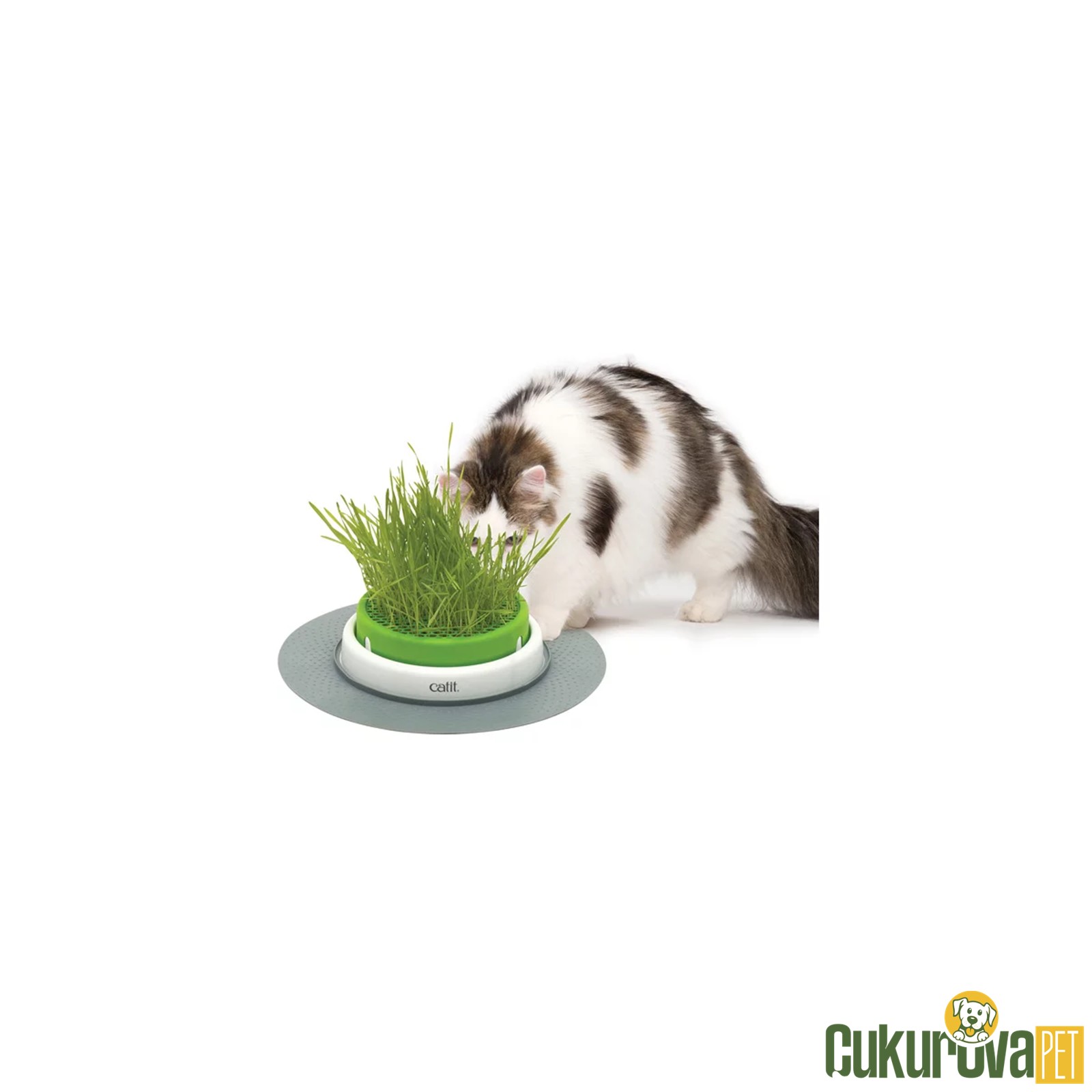 Catit Senses 2.0 Grass Planter Kedi̇ Çi̇m Seti