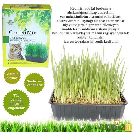 GARDENMIX KEDİ ÇİMİ 
