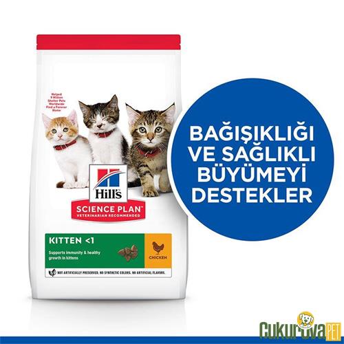 HILL'S SCIENCE PLAN HEALTHY DEVELOPMENT TAVUKLU YAVRU KEDİ MAMASI 1 KG + 500 GR HEDİYE!