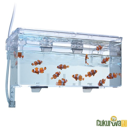 Fluval Holding & Breeding Box Yavruluk 1.9 L