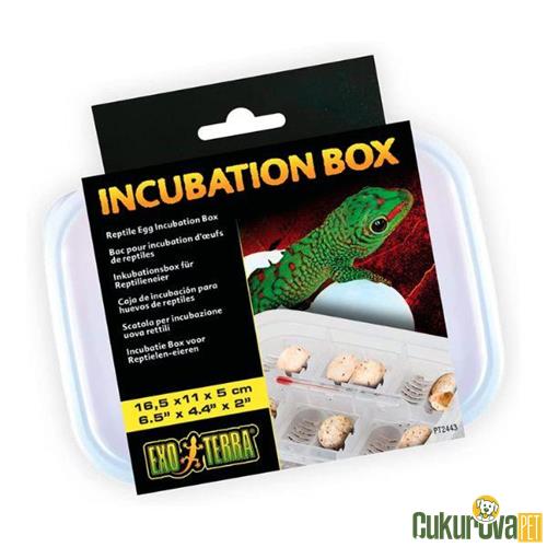 EXO TERRA INCUBATION BOX SÜRÜNGENLER İÇİN KULUÇKA KUTUSU 