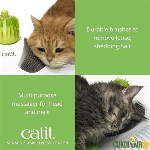 Catit Senses 2.0 Wellness Center Kedi Aktivite ve Zeka Oyuncağı 50 x 15 x 45 Cm