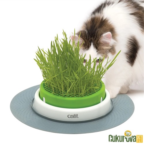 Catit Cat Grass Kit Senses 2.0 Grass Planter Kedi Çim Seti