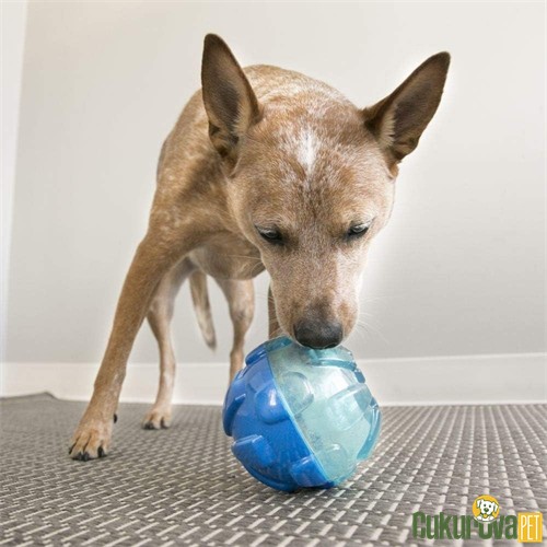 Kong Rewards Ball Ödül Hazneli Top Köpek Oyuncağı L / 12 Cm