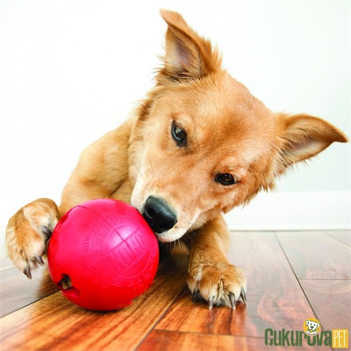 Kong Biscuit Ball Top Köpek Oyuncağı Kırmızı S / 5.5 Cm