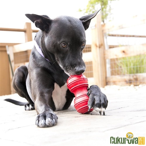 Kong Dental Kauçuk Köpek Oyuncağı L - 13.3 Cm