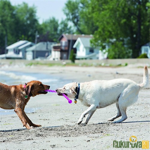 Kong Safetix Termoplastik Köpek Oyuncağı Karışık Renkli - M / 50.8 Cm