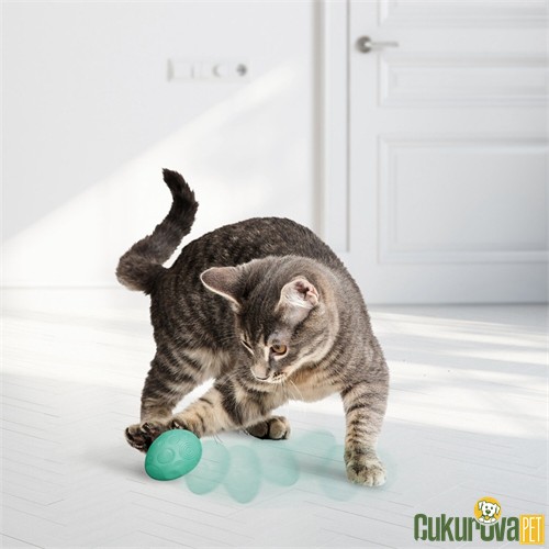 Kong Infused İnteraktif Yumurta Kedi Oyuncağı 3.8 x 3.8 x 5 Cm - 2 Adet