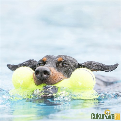 Kong Air Dog Sesli Kumaş Köpek Oyuncağı S - 11.5 Cm