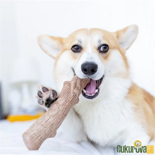 Petstages Dogwood Ahşap Çiğneme Çubuğu Köpek Oyuncağı M / 18 Cm